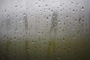 Steamy Window