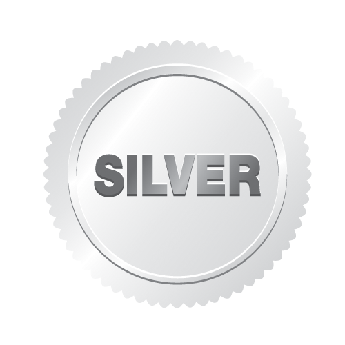 Silver Badge